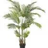 Rogue Areca Palm 110x170cm