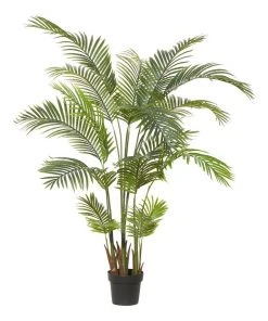 Rogue Areca Palm 110x170cm
