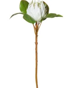 Rogue King Protea 54cm Artificial Stem White