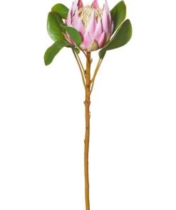 Rogue King Protea 54cm Artificial Stem Pink