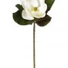 Rogue Grand Magnolia 66cm Artificial Stem White