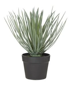 Rogue Spikey Grass-Garden Pot