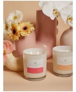 Palm Beach Collection Posy 420g Scented Soy Candle -The Shine Nook Sales Store 704635030 4 720x928