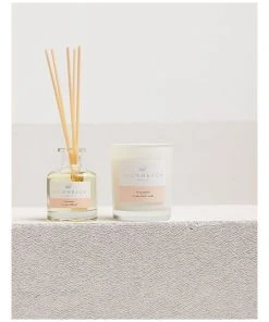 Palm Beach Collection Watermelon 90g Scented Soy Candle -The Shine Nook Sales Store 704636020 3 720x928