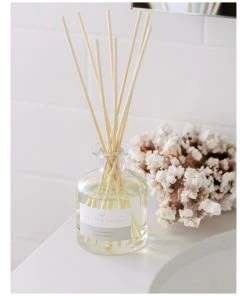 Palm Beach Collection Clove & Sandalwood 50ml Mini Fragrance Diffuser -The Shine Nook Sales Store 704637190 4 720x928