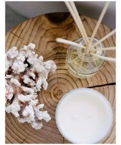 Palm Beach Collection Watermelon 50ml Mini Fragrance Diffuser -The Shine Nook Sales Store 704637730 3 720x928