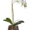 Rogue Artificial Phalaenopsis Classic Bowl 28x13x47cm White