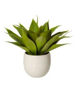 Rogue 55x55x48cm Agave Tub Pot Green/White