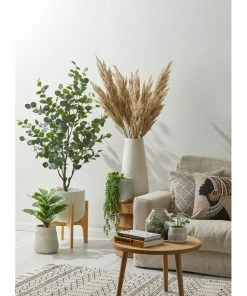 Rogue Pampas Grass Spray 92cm Artificial Stem Cream 8 Rogue Pampas Grass Spray 92cm Artificial Stem Cream -The Shine Nook Sales Store 711507340 2 720x928