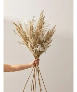 Rogue Pampas Grass Spray 92cm Artificial Stem Cream 10 Rogue Pampas Grass Spray 92cm Artificial Stem Cream -The Shine Nook Sales Store 711507340 4 720x928