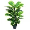 Cooper & Co Botanica 90cm Artificial Rubber Plant