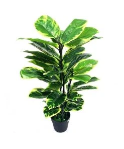 Cooper & Co Botanica 90cm Artificial Rubber Plant