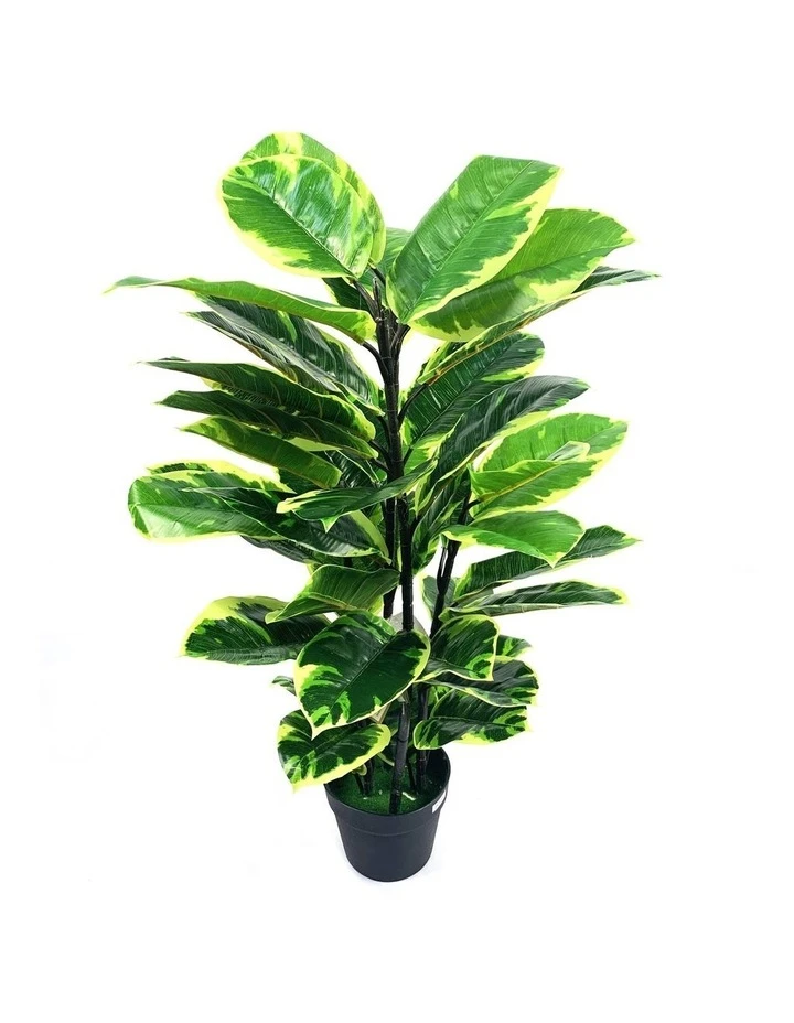 Cooper & Co Botanica 90cm Artificial Rubber Plant 1 Cooper & Co Botanica 90cm Artificial Rubber Plant