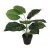 Cooper & Co 45cm Artificial Calathea Orbifolia Plant