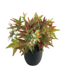 Cooper & Co 24cm Artificial Green Maple Plant