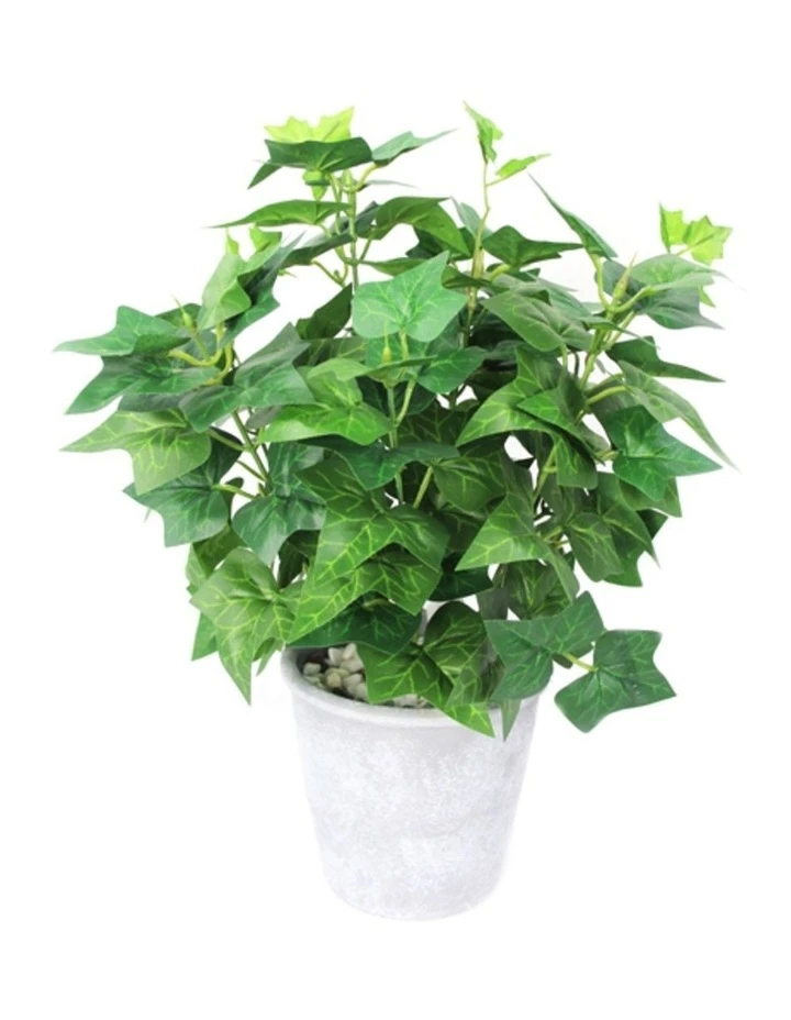 Cooper & Co 39cm Tall Potted Artificial Ivy 1 Cooper & Co 39cm Tall Potted Artificial Ivy