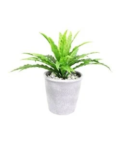 Cooper & Co 26cm Tall Potted Artificial Boston Fern