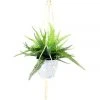 Cooper & Co 95Cm Tall Hanging Potted Artificial Boston Fern Decor Fake Plant Indoor