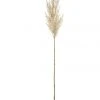 Rogue Pampas Grass Spray 83cm Artificial Stem Cream