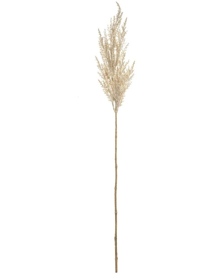 Rogue Pampas Grass Spray 83cm Artificial Stem Cream 1 Rogue Pampas Grass Spray 83cm Artificial Stem Cream