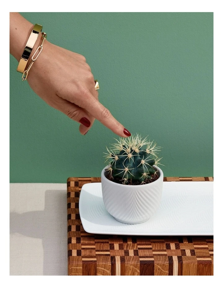 Wedgwood Folia 8cm Mini Pots White 2 Wedgwood Folia 8cm Mini Pots White - Image 2