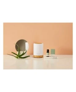 Palm Beach Collection Motivate Essential Oil Blend 15ml -The Shine Nook Sales Store 796461760 3 720x928