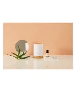 Palm Beach Collection Renew Essential Oil Blend 15ml -The Shine Nook Sales Store 796461940 3 720x928