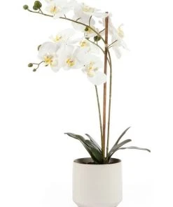 Cooper & Co 61cm Orchid Potted Artificial Plant