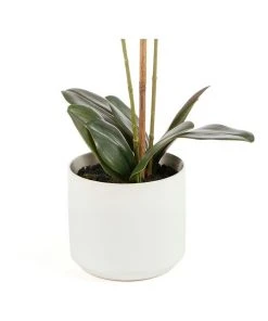 Cooper & Co 61cm Orchid Potted Artificial Plant -The Shine Nook Sales Store 799372450 4 720x928