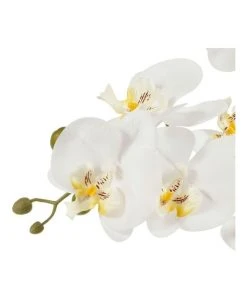 Cooper & Co 61cm Orchid Potted Artificial Plant -The Shine Nook Sales Store 799372450 5 720x928