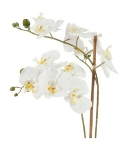 Cooper & Co 61cm Orchid Potted Artificial Plant -The Shine Nook Sales Store 799372450 6 720x928