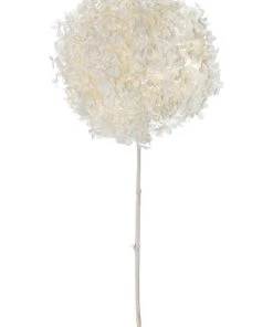 Rogue Preserved Anna Hydrangea 60cm White