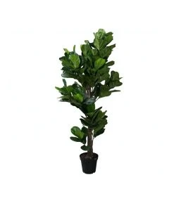 Koala Living Fiddle Leaf Tree 190cm