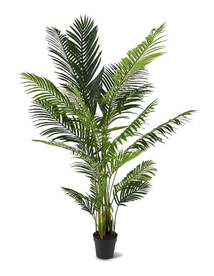 Koala Living Areca Palm 190cm Synthetic Plant 1 Koala Living Areca Palm 190cm Synthetic Plant