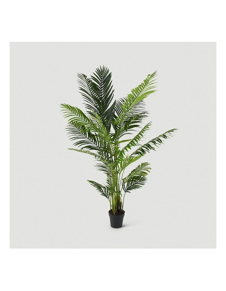 Koala Living Areca Palm 190cm Synthetic Plant 2 Koala Living Areca Palm 190cm Synthetic Plant - Image 2