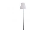Lexi Lighting 150CM LED Floor Lamp Solar DC