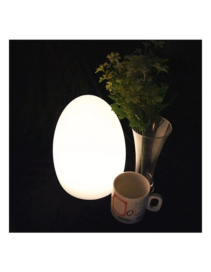 Lexi Lighting LED Egg Lamp 3 Lexi Lighting LED Egg Lamp - Image 3