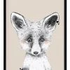 Urban Road Fox In Socks Black Frame