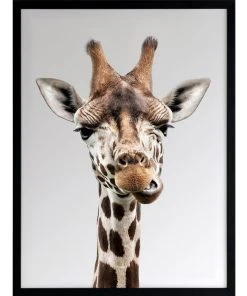 Urban Road Gerry Print Black Frame