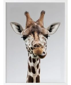 Urban Road Gerry Print White Frame