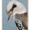 Urban Road Kookaburra Oak Frame