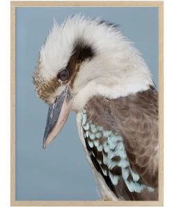 Urban Road Kookaburra Oak Frame