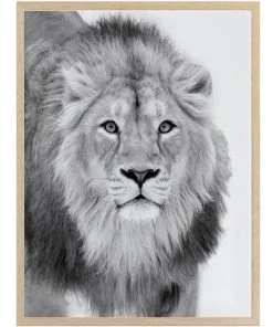Urban Road Lion Hunt Print Oak Frame