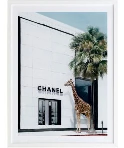 Urban Road Rodeo Drive White Frame