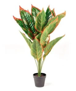 Cooper & Co. 65cm Faux Dieffenbachia