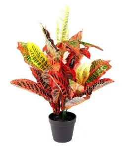 Cooper & Co. 55cm Faux Banyan