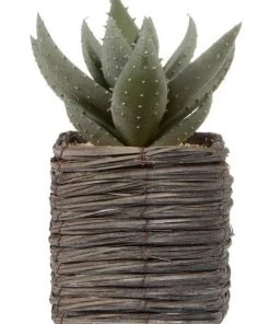 Cooper & Co 29cm Aloe Vera Artificial Plant In Basket