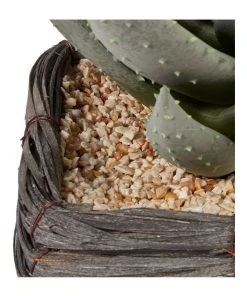Cooper & Co 29cm Aloe Vera Artificial Plant In Basket -The Shine Nook Sales Store 827668180 5 720x928