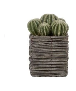 Cooper & Co 25cm Cactus Artificial Plant