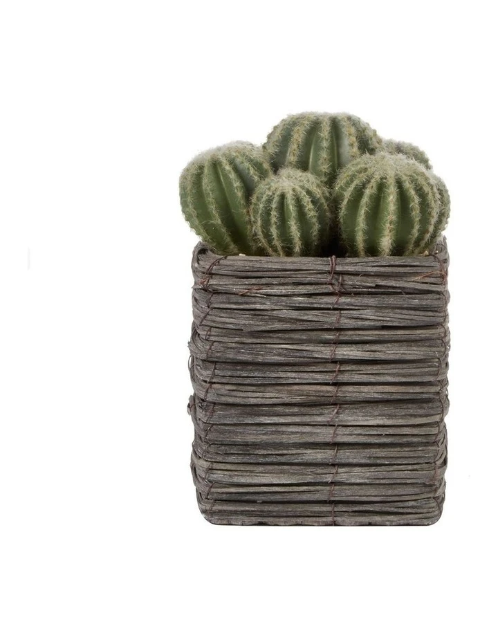 Cooper & Co 25cm Cactus Artificial Plant 1 Cooper & Co 25cm Cactus Artificial Plant